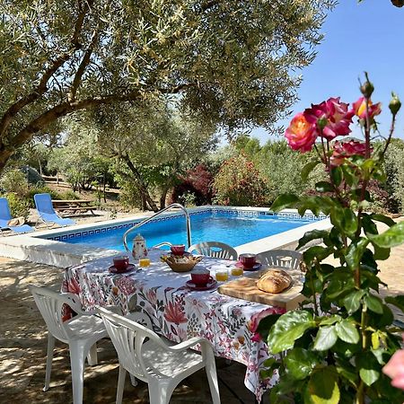 Refugio Andaluz Con Piscina Entre Olivos Villanueva de Tapia Exterior foto