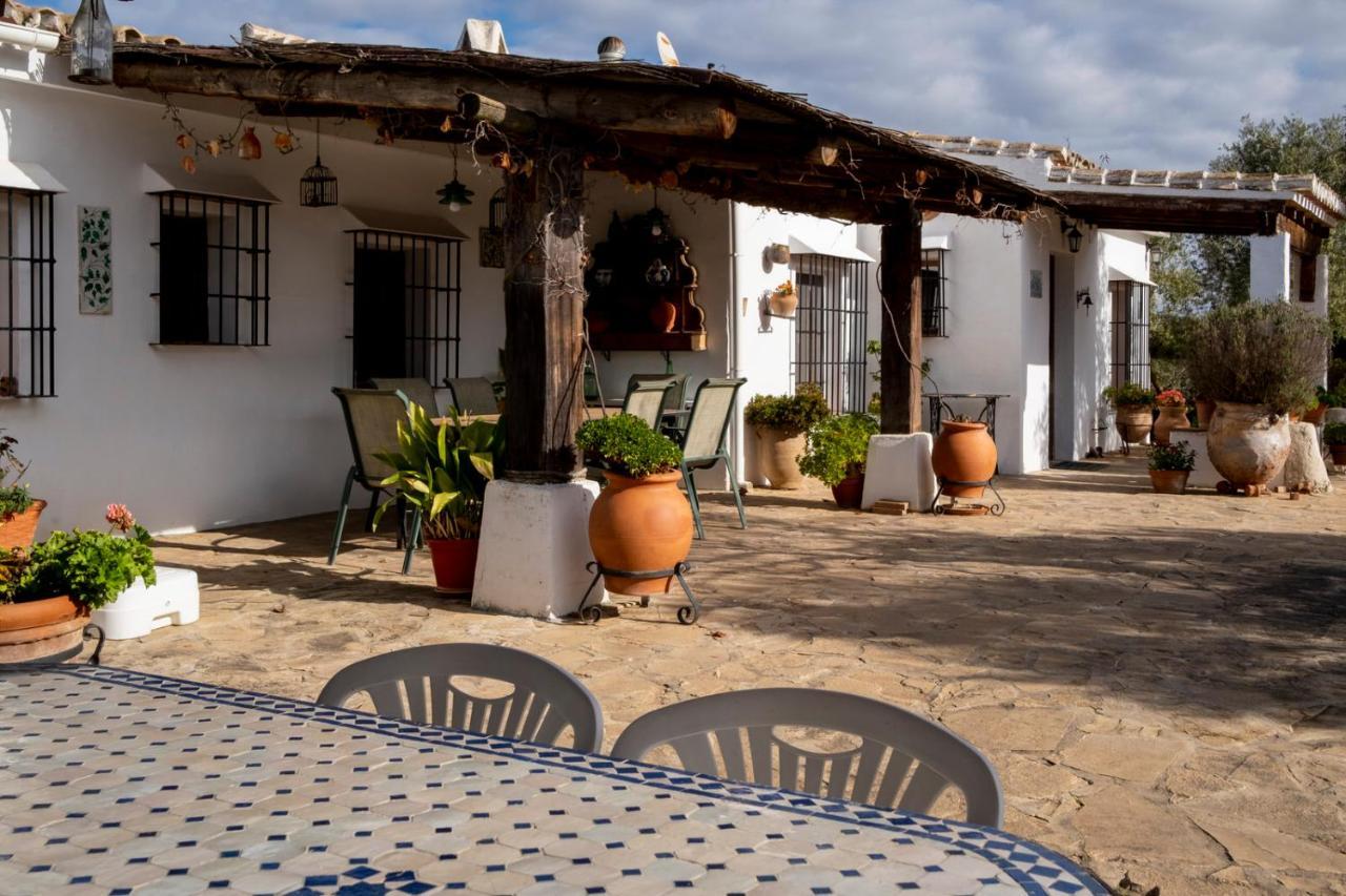 Refugio Andaluz Con Piscina Entre Olivos Villanueva de Tapia Exterior foto
