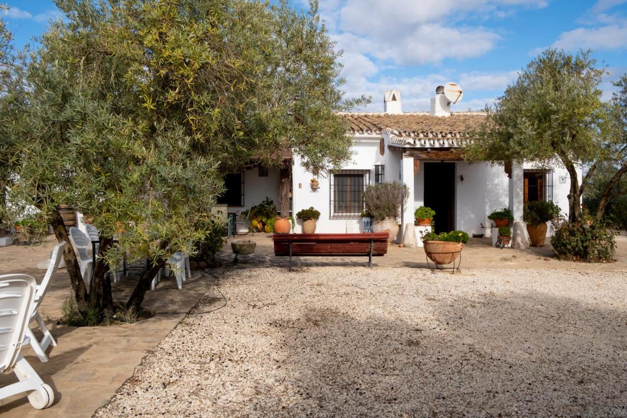 Refugio Andaluz Con Piscina Entre Olivos Villanueva de Tapia Exterior foto