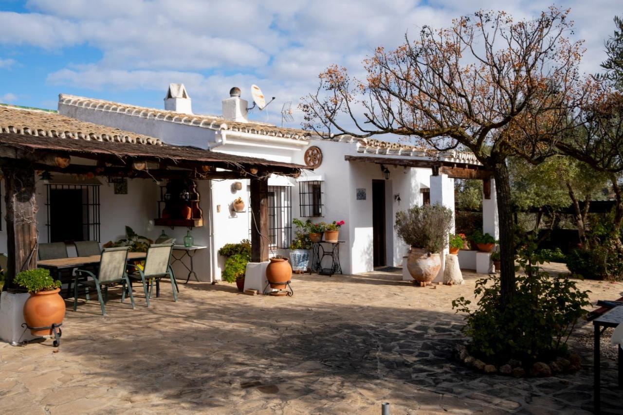 Refugio Andaluz Con Piscina Entre Olivos Villanueva de Tapia Exterior foto
