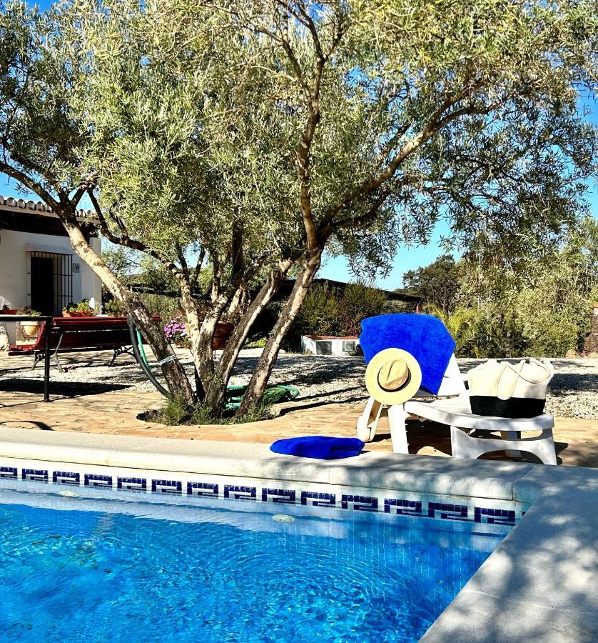 Refugio Andaluz Con Piscina Entre Olivos Villanueva de Tapia Exterior foto
