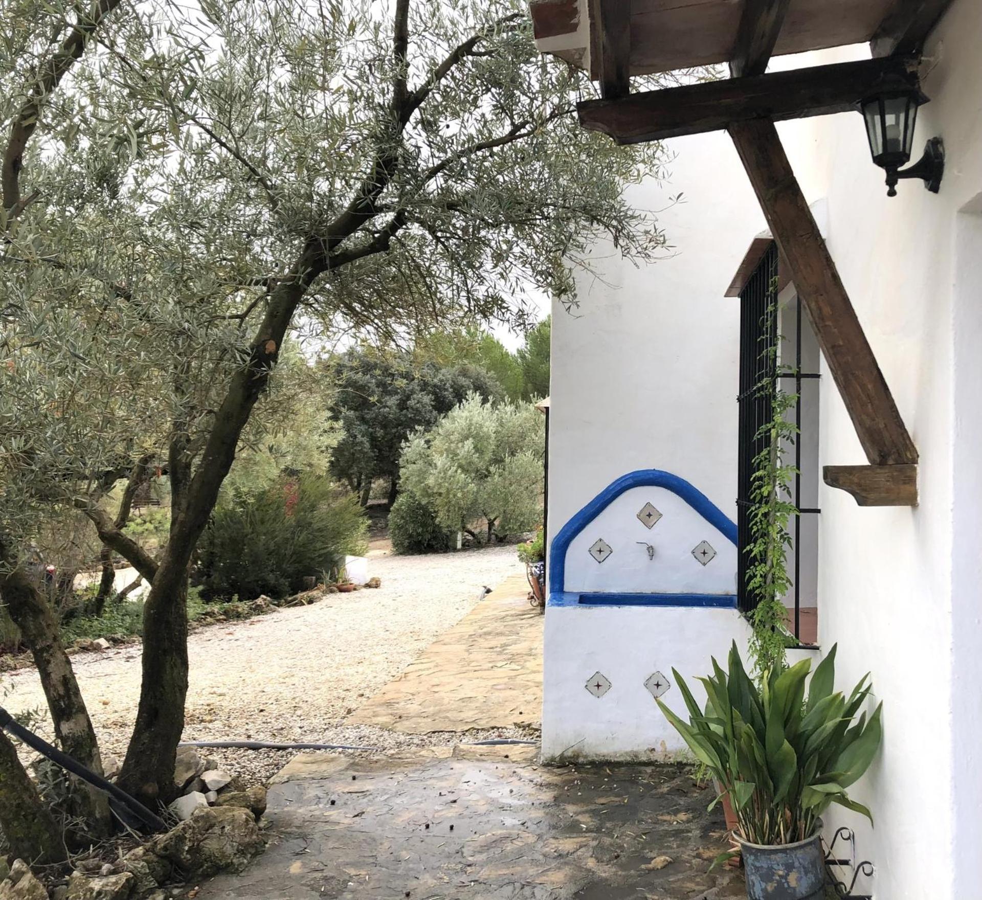 Refugio Andaluz Con Piscina Entre Olivos Villanueva de Tapia Exterior foto