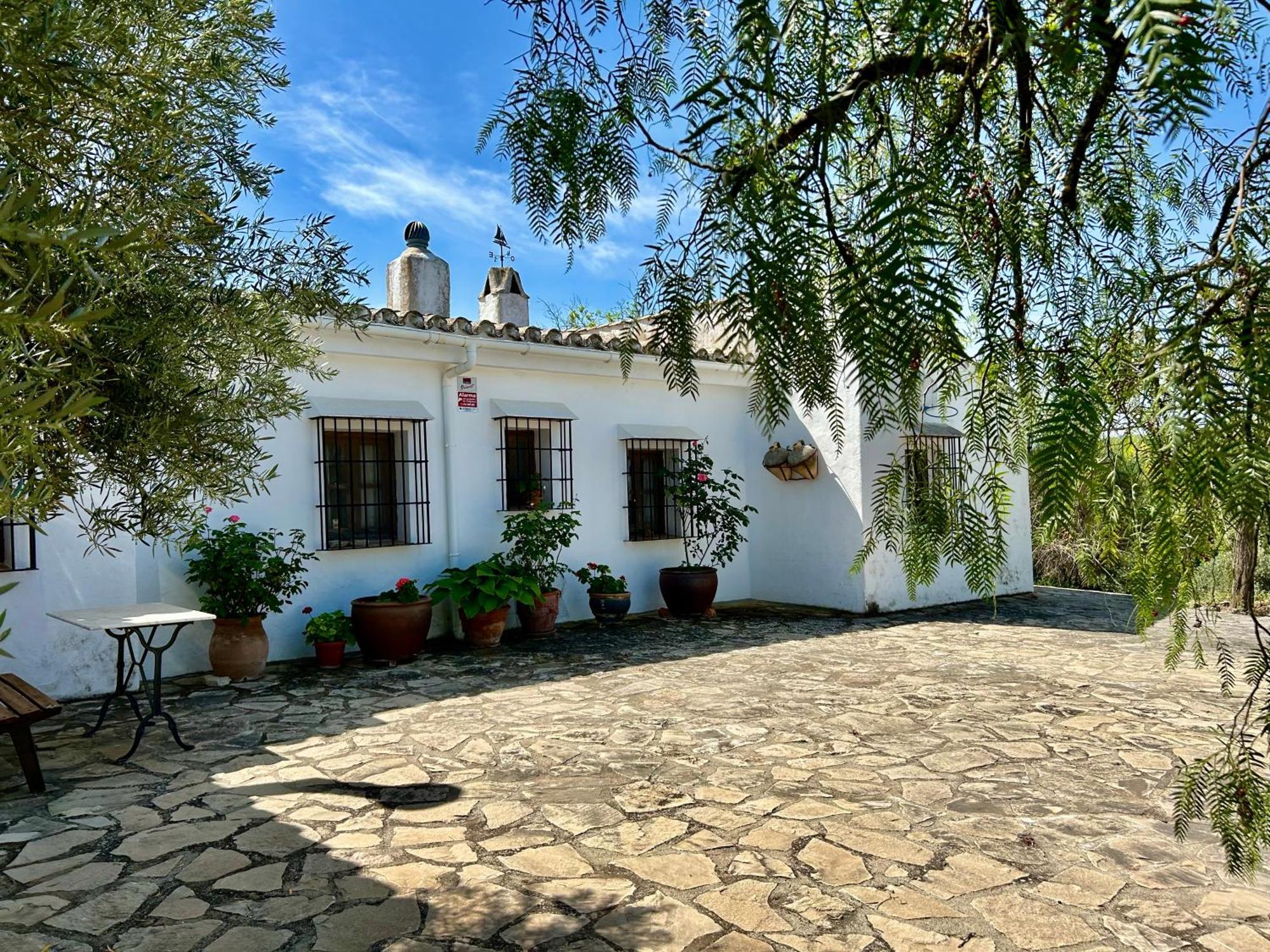 Refugio Andaluz Con Piscina Entre Olivos Villanueva de Tapia Exterior foto